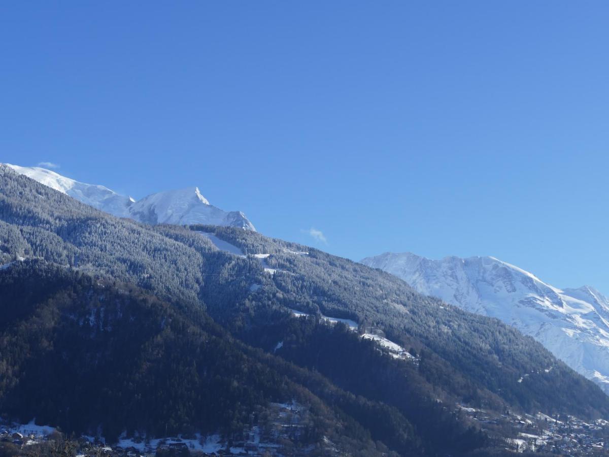 Chalet coup de coeur Passy  Buitenkant foto