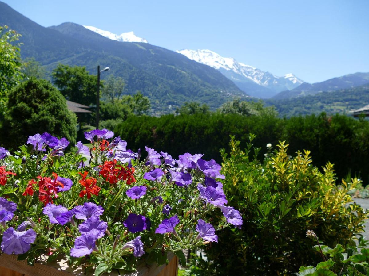 Chalet coup de coeur Passy  Buitenkant foto